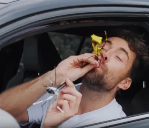 data.video.video_image.alt